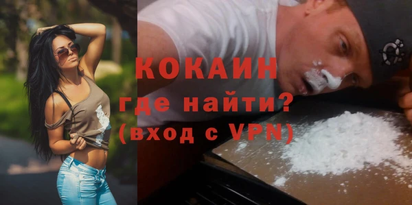 твердый Няндома